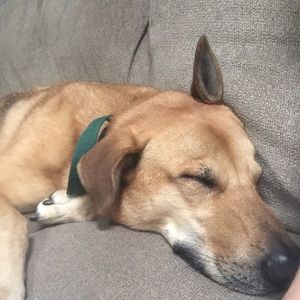 Meet your Posher, Colleen